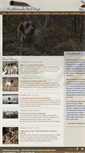 Mobile Screenshot of northwoodsbirddogs.com